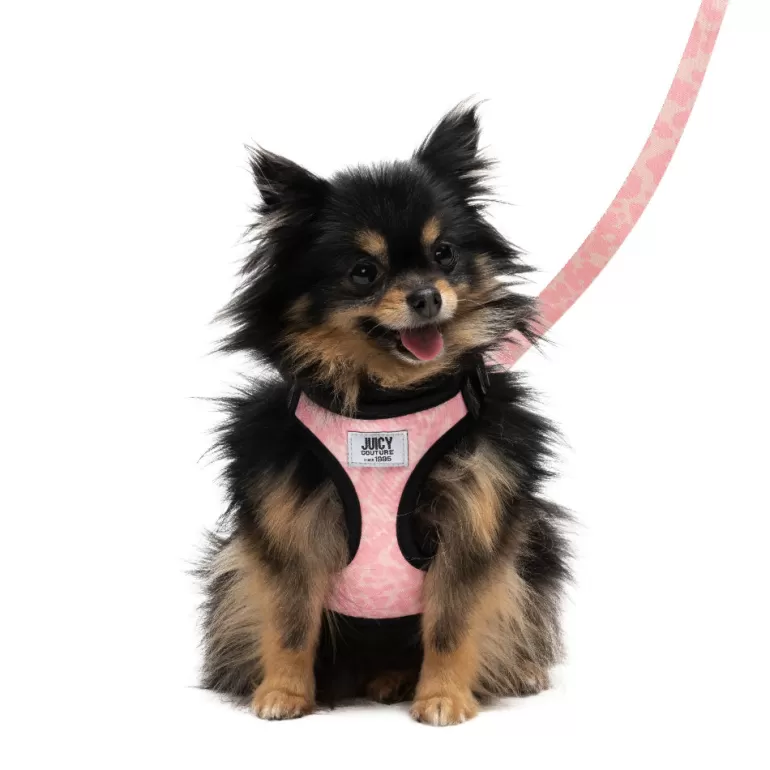 Juicy Couture Sele- Og Båndsett> Seler Og Bånd